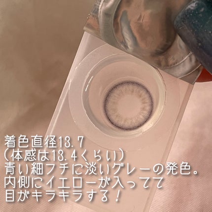 Little Honeypsマンスリー/リトルハニップ/1ヶ月(1MONTH)カラコンを使ったクチコミ(3枚目)