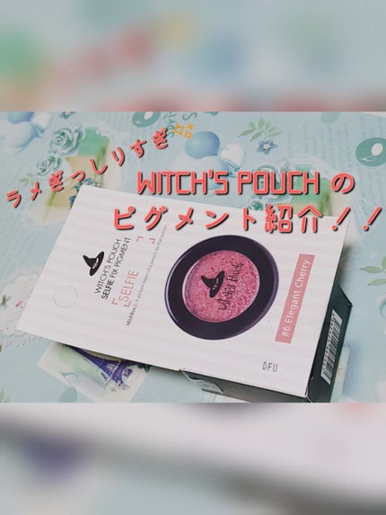 セルフィーフィックスピグメント/Witch's Pouch/単色アイシャドウを使ったクチコミ(1枚目)