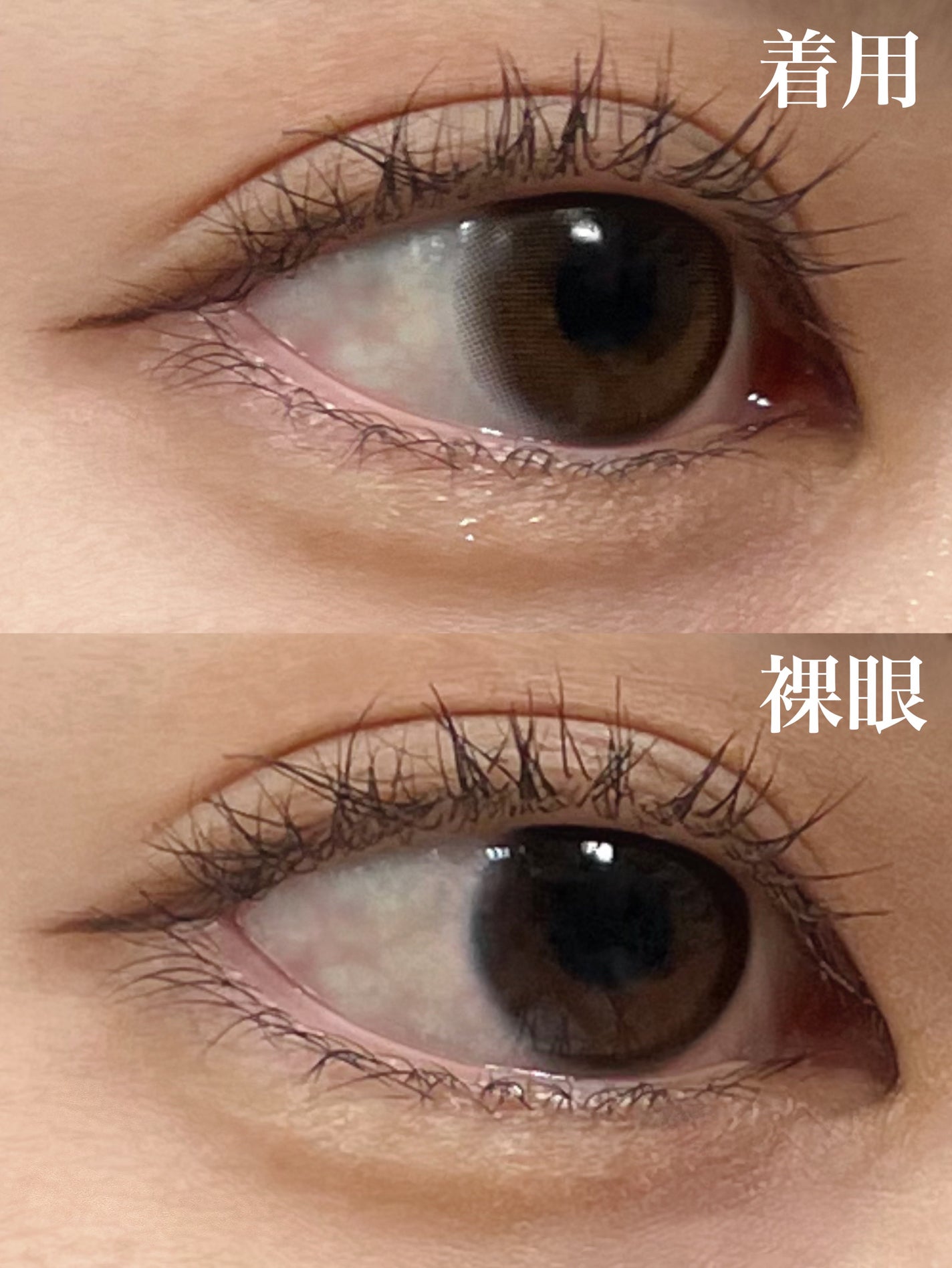 LARME MELTY SERIES(ラルムメルティシリーズ)/LARME/カラーコンタクトレンズを使ったクチコミ(2枚目)