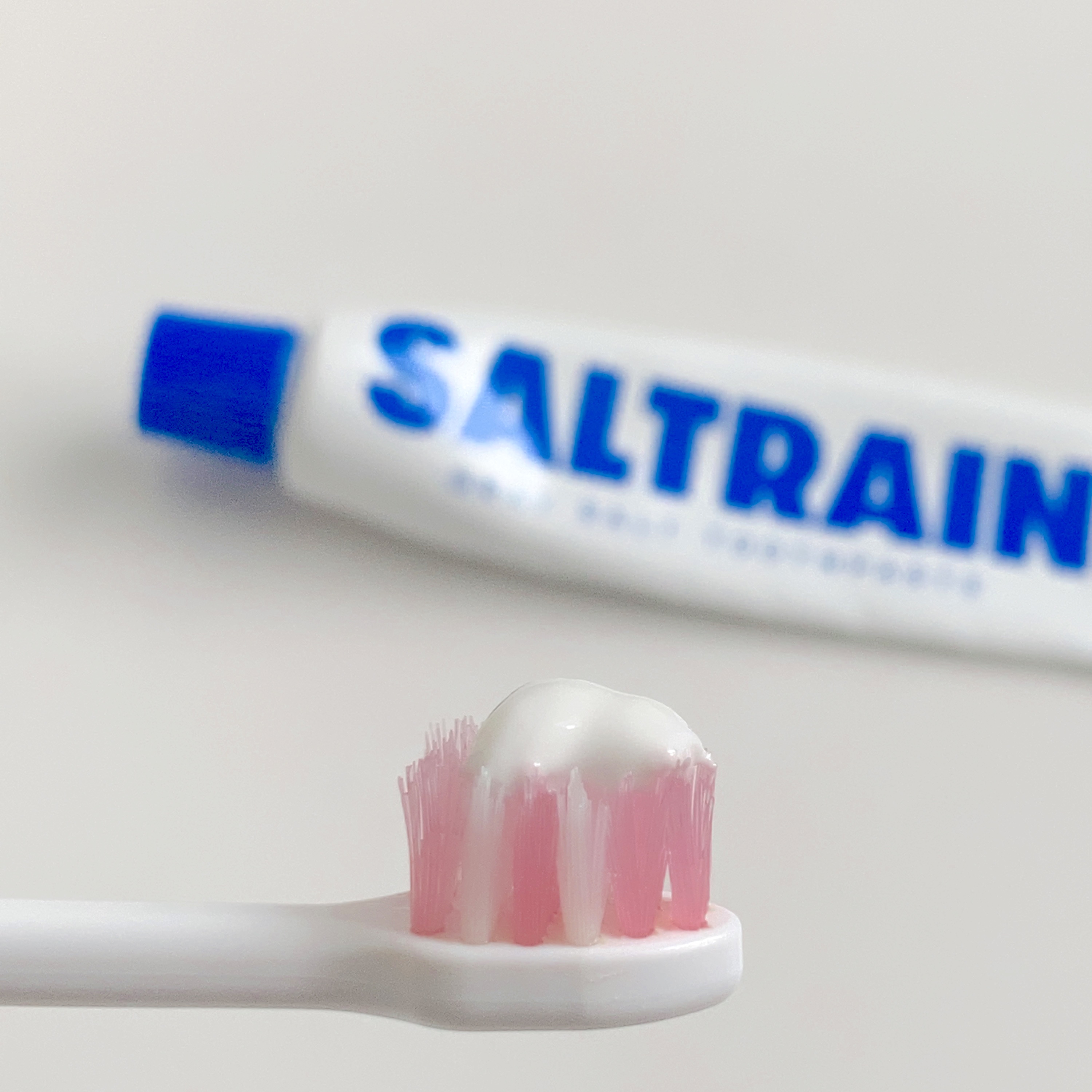 GRAY SALT/SALTRAIN/歯磨き粉を使ったクチコミ（2枚目）