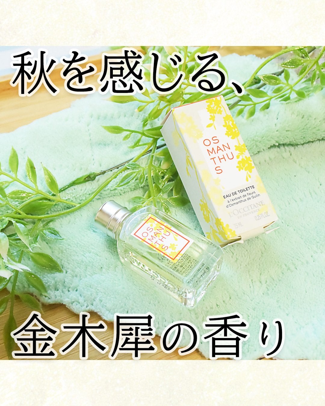 オスマンサス オードトワレ/L'OCCITANE/香水(レディース)を使ったクチコミ(1枚目)