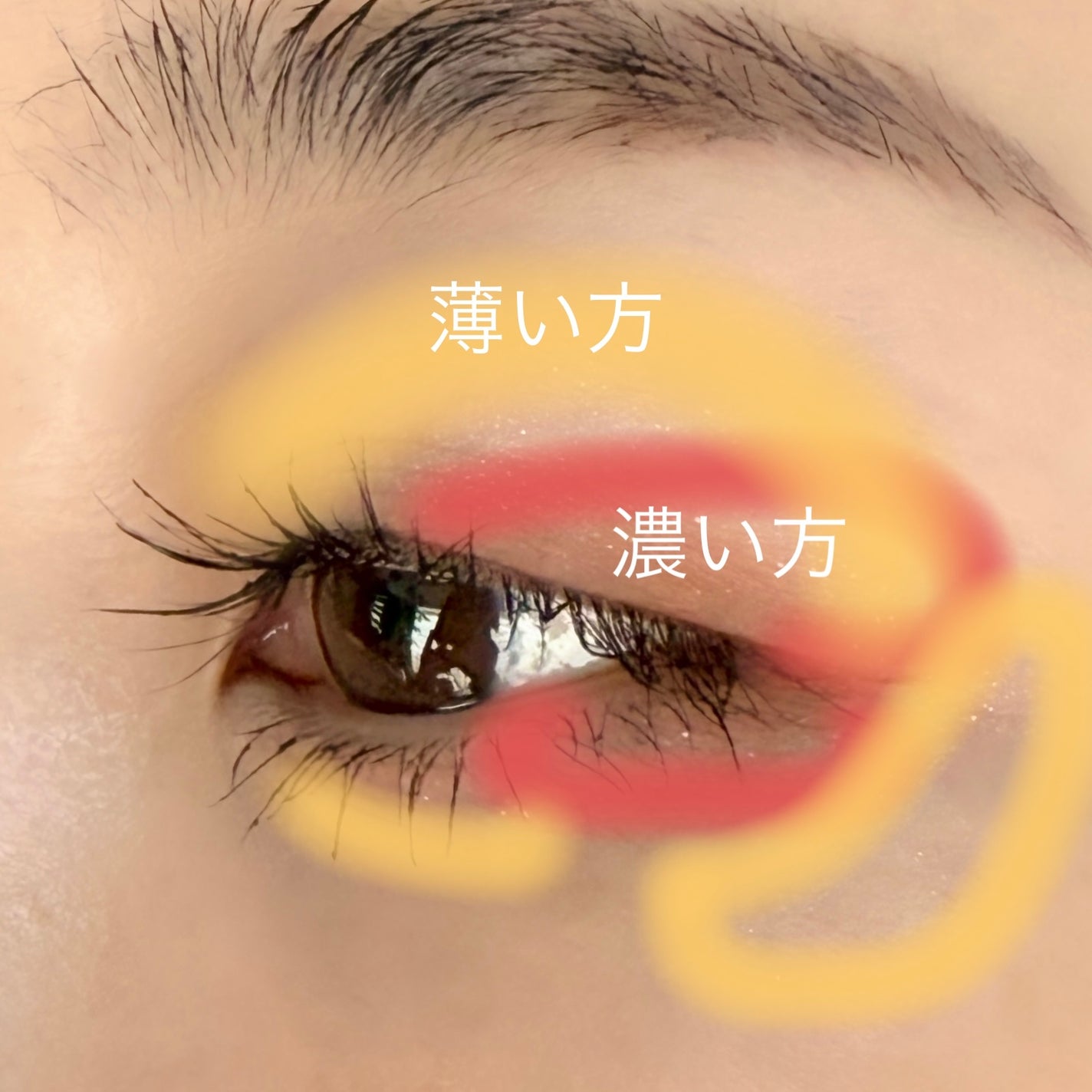 エテュセ アイエディション(カラーパレット)/ettusais/アイシャドウパレットを使ったクチコミ(3枚目)