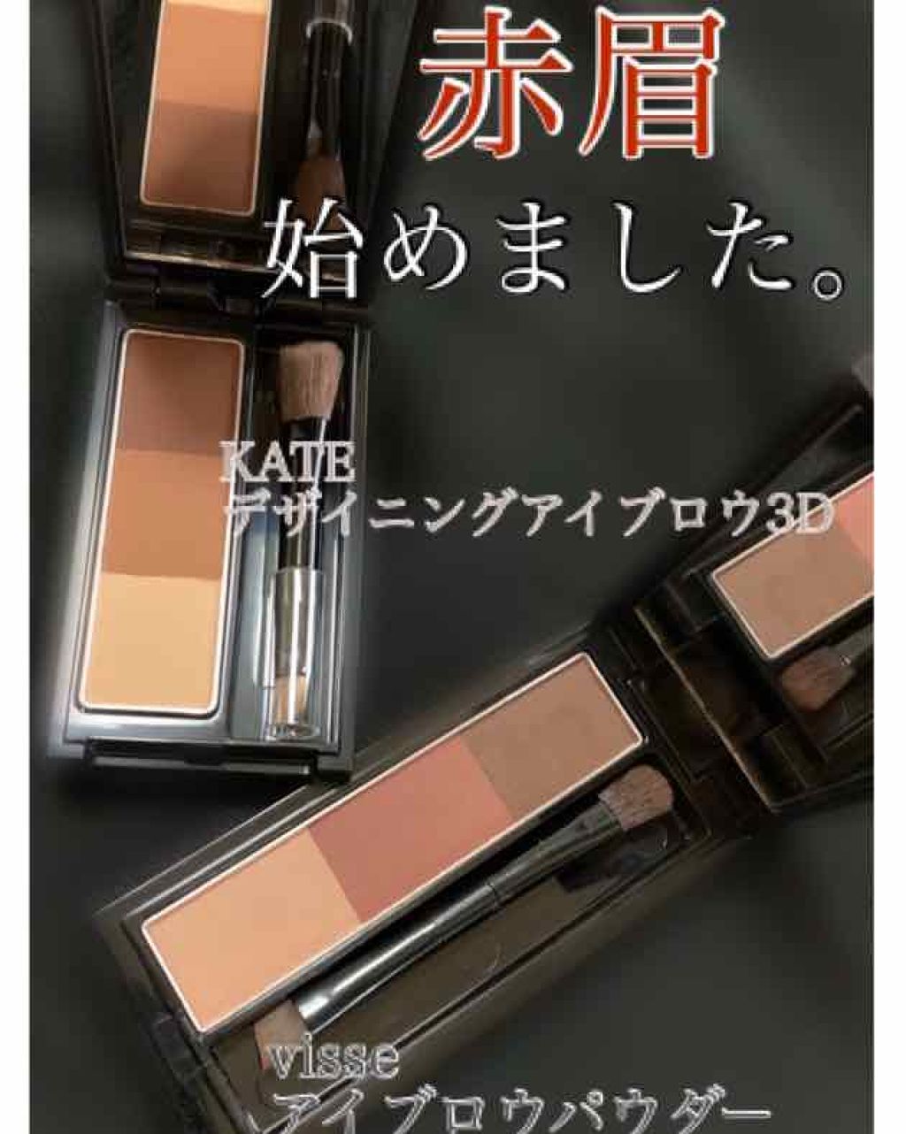 ヴィセ リシェ アイブロウパウダー/Visée/パウダーアイブロウを使ったクチコミ（1枚目）
