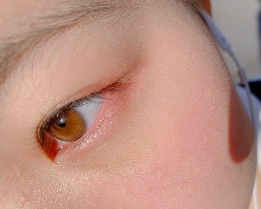 アイカラーパレット/ティアラガール/アイシャドウパレットを使ったクチコミ（1枚目）