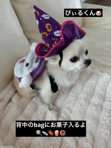 ヴェルニ/CHANEL/マニキュアを使ったクチコミ(6枚目)