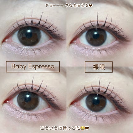 TOPARDS 1day/TOPARDS/ワンデー(1DAY)カラコンを使ったクチコミ(4枚目)