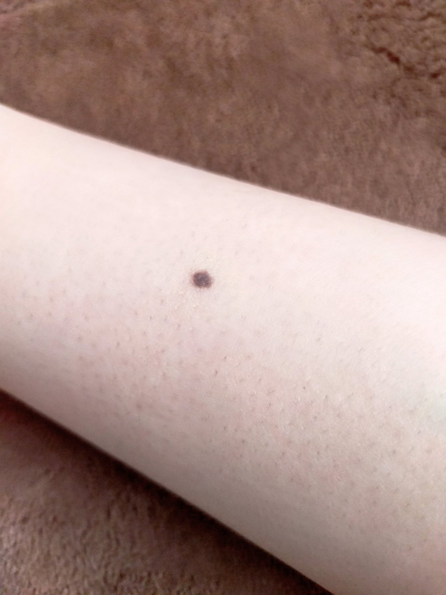 ペイントカラー/舞台屋/口紅を使ったクチコミ(4枚目)