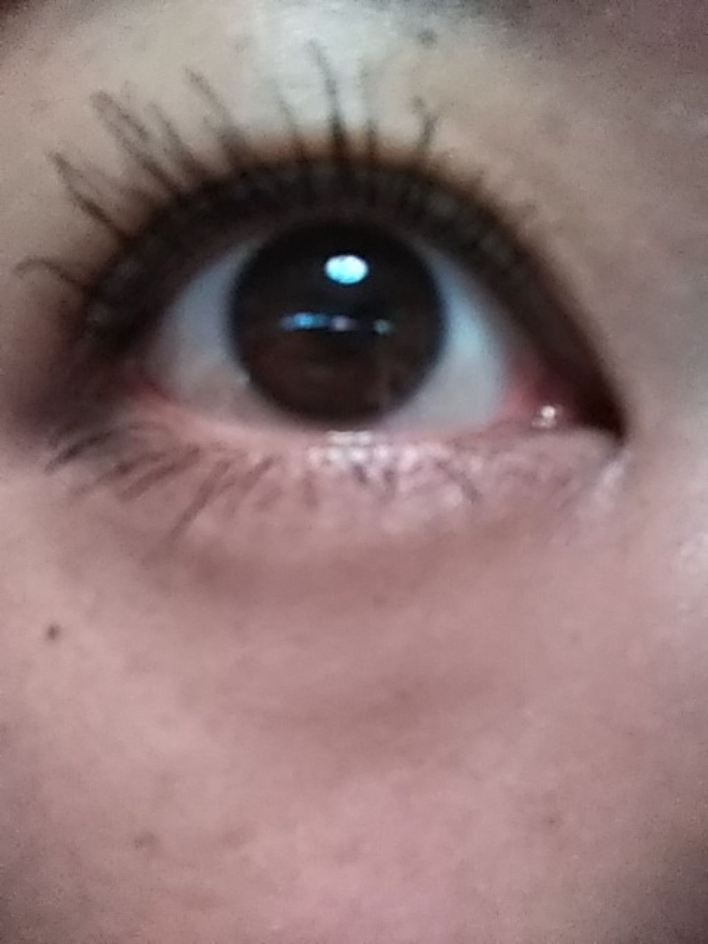 ボリューム エクスプレス ハイパーカール ウォータープルーフ N/MAYBELLINE NEW YORK/マスカラを使ったクチコミ(2枚目)