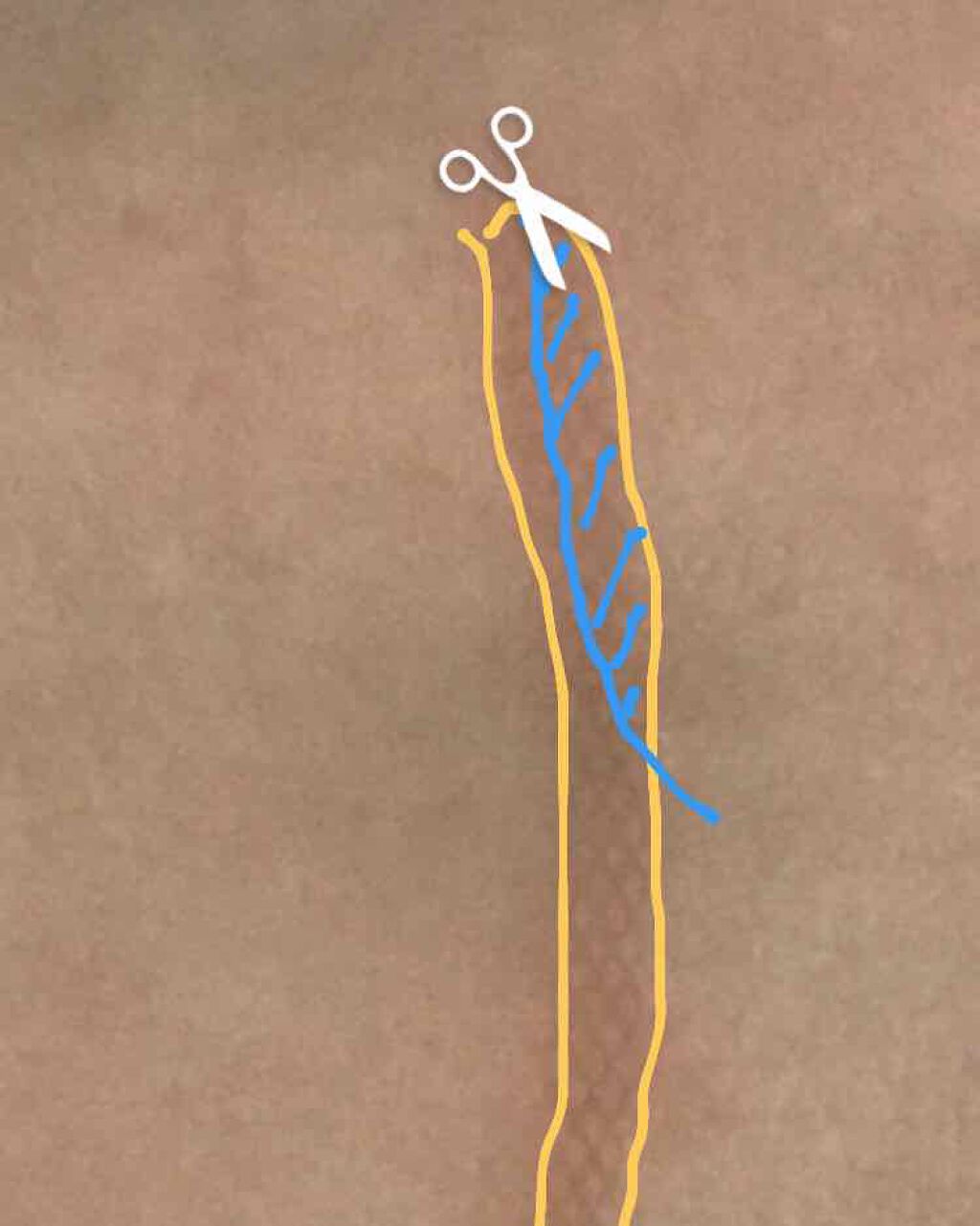 アイテープ(絆創膏タイプ、レギュラー、70枚)/DAISO/二重まぶた用アイテムを使ったクチコミ(4枚目)