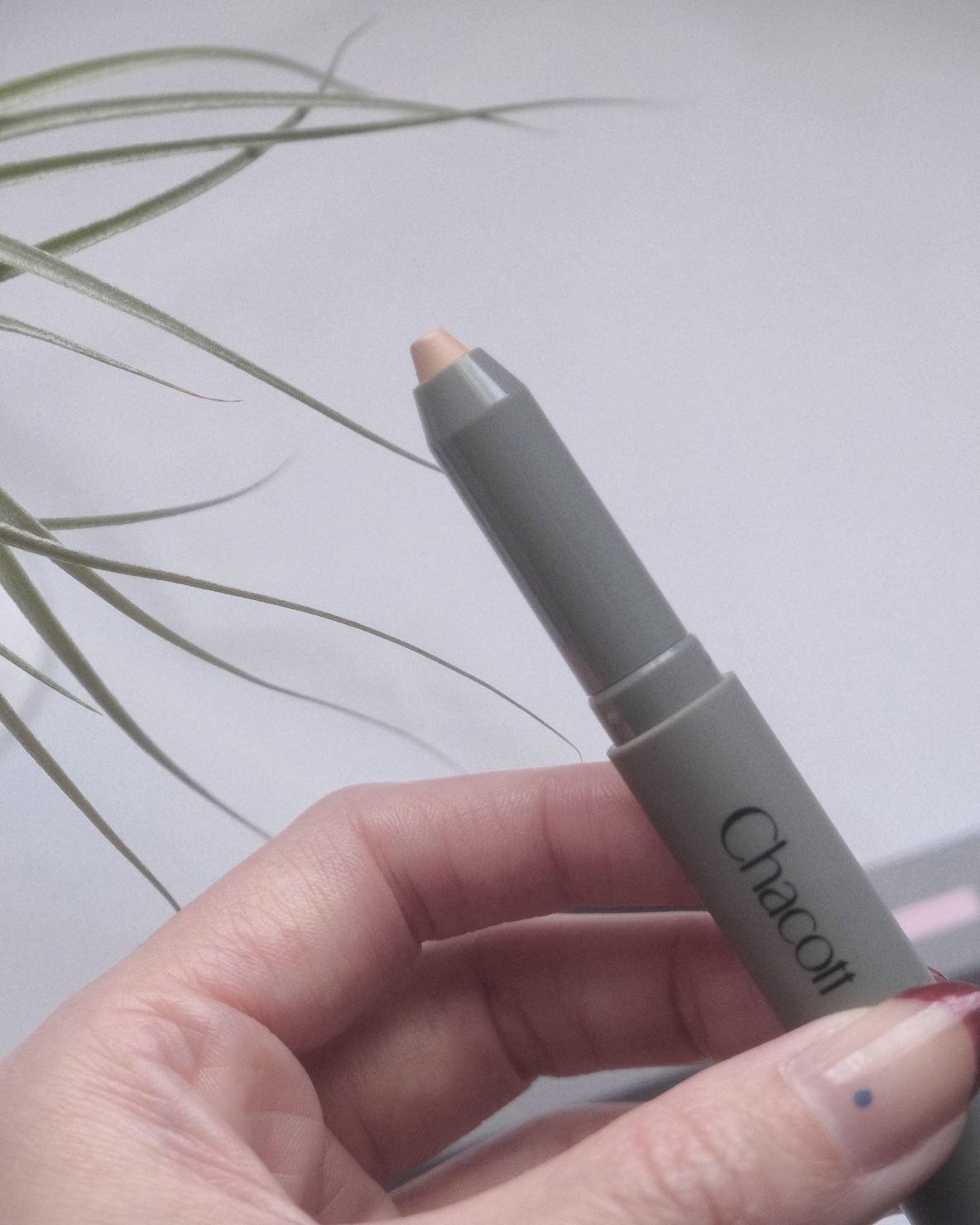 クレヨンコンシーラー/チャコット・コスメティクス/ペンシルコンシーラーを使ったクチコミ（2枚目）