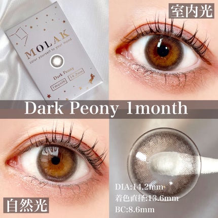 MOLAK 1day/MOLAK/ワンデー(1DAY)カラコンを使ったクチコミ(6枚目)