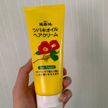 黒ばら純椿油ツバキオイルヘアクリーム


「椿の成分ってめっちゃ髪に良さそう」という理由で買ってみたんですが…うーん。

まず出すときにドバッと出やすいんですね。柔らかめのクリームなので、加減が難しいで