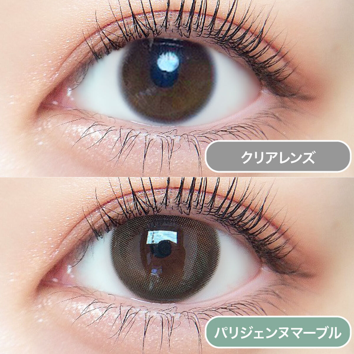 ルイ バイ カラーマジョリティー  パリジェンヌマーブル