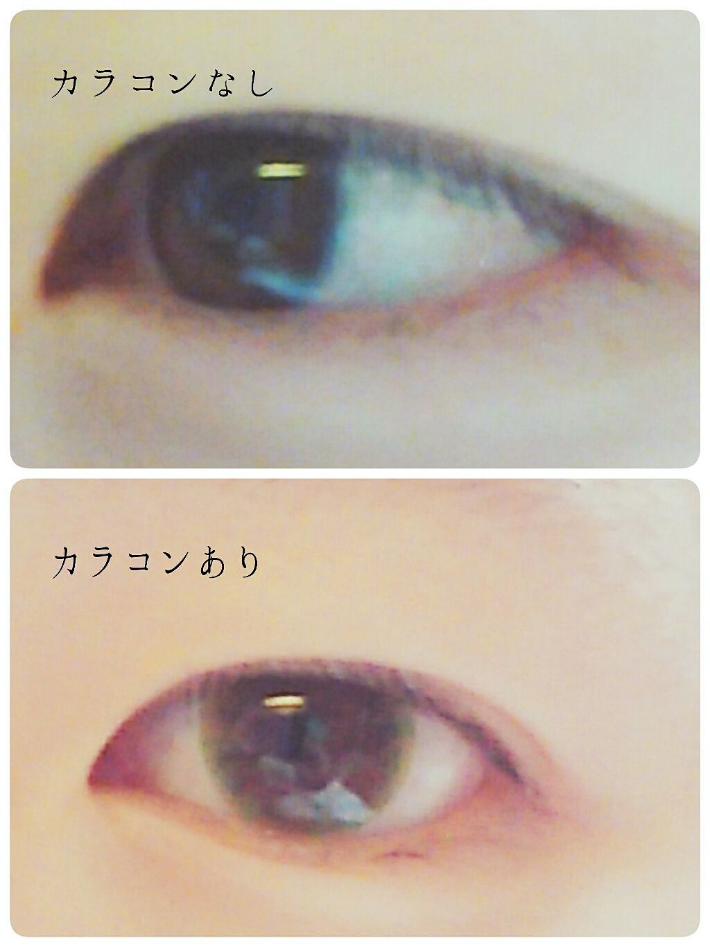 elev(エレーブ)/elev/カラーコンタクトレンズを使ったクチコミ(3枚目)