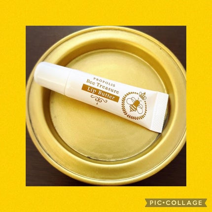 リップバター~Lip Butter~/Bee Treasure/リップクリームを使ったクチコミ(1枚目)