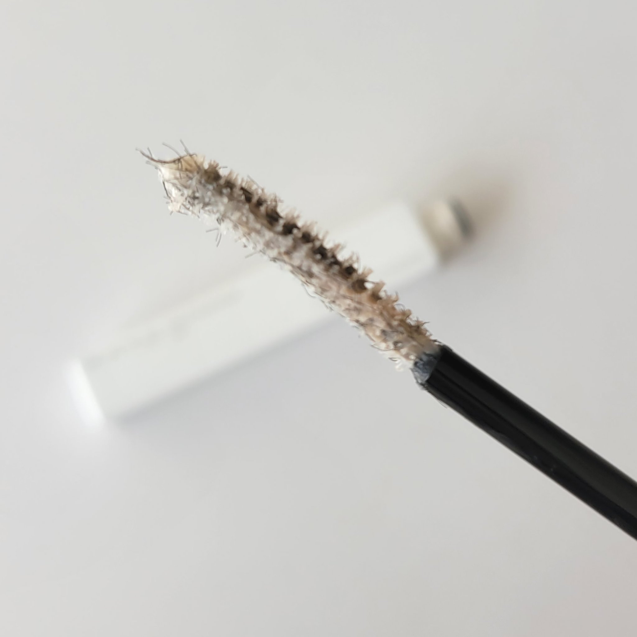 ラッシュマキシマイザーHP/KATE/マスカラ下地を使ったクチコミ（2枚目）