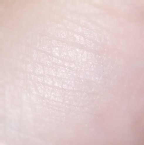 イルミネイティングフィニッシュパウダー　～Abloom～/キャンメイク/プレストパウダーを使ったクチコミ（2枚目）