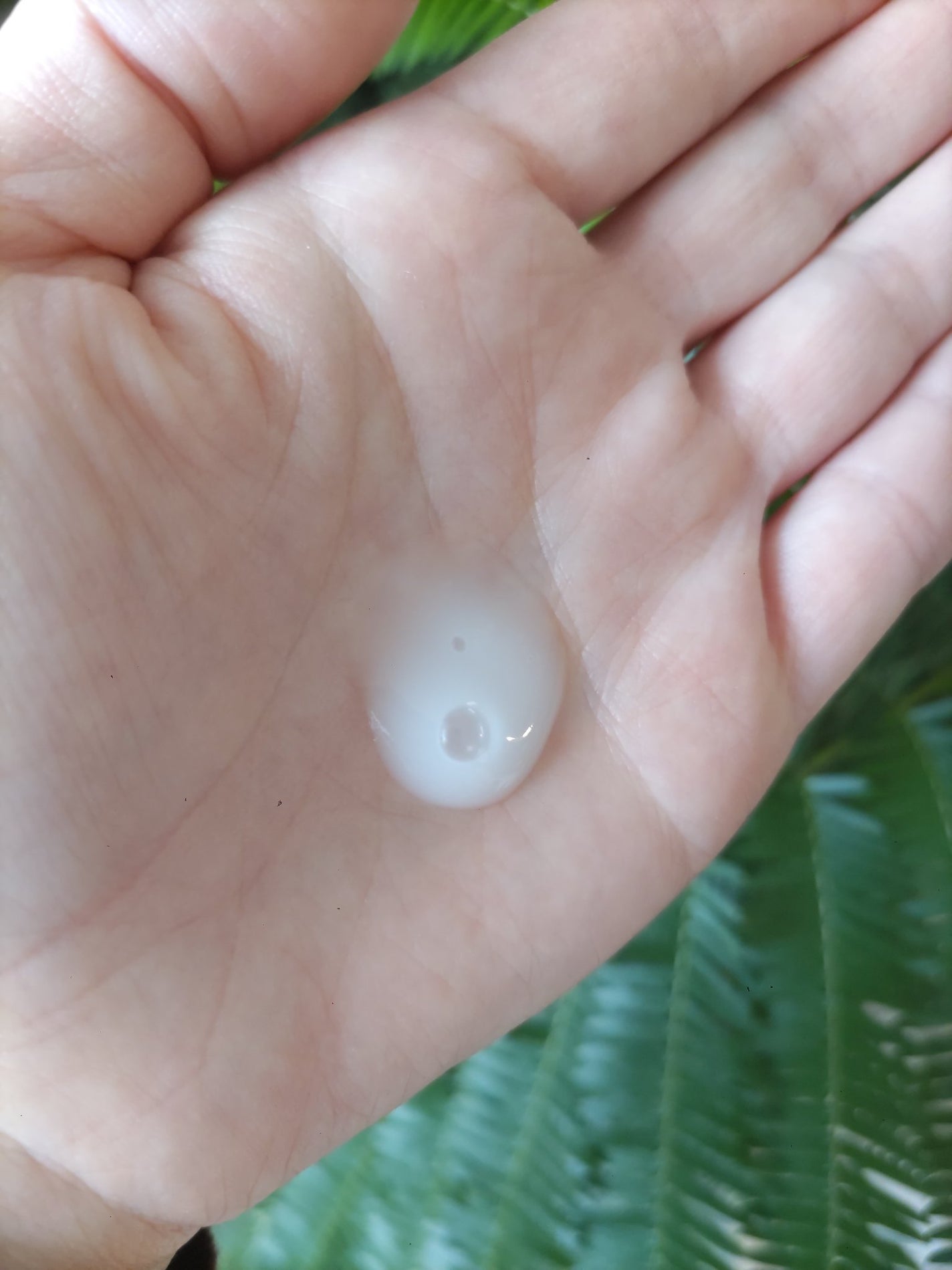 プロバイオシカ インテンシブ アンプル/SKIN1004/美容液を使ったクチコミ(2枚目)