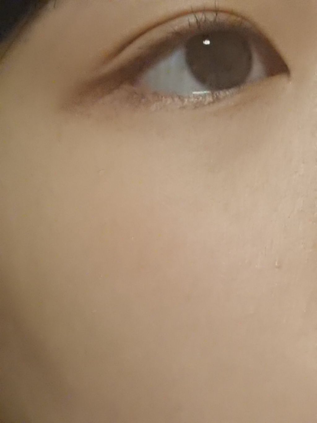 ハイライター/キャンメイク/パウダーハイライトを使ったクチコミ（3枚目）