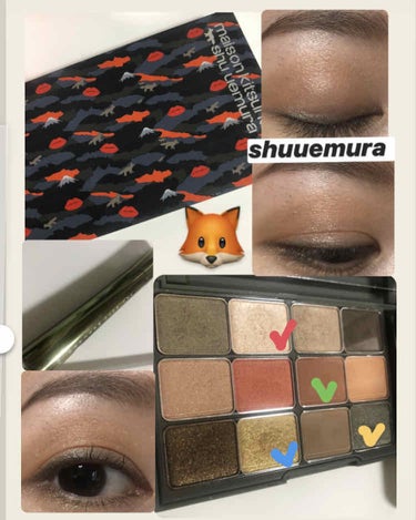 カモアイシャドーパレット/shu uemura/アイシャドウパレットを使ったクチコミ（1枚目）