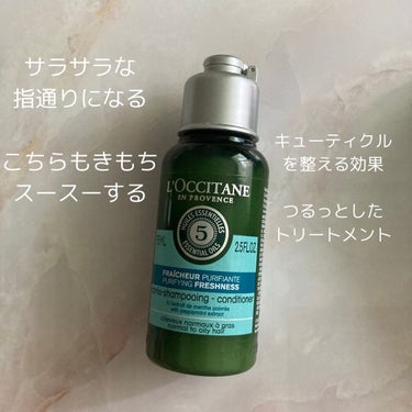 ファイブハーブス ピュアフレッシュネス シャンプー／コンディショナー/L'OCCITANE/シャンプー・コンディショナーを使ったクチコミ（2枚目）