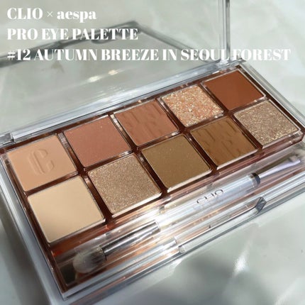 プロ アイ パレット/CLIO/アイシャドウパレットを使ったクチコミ(2枚目)