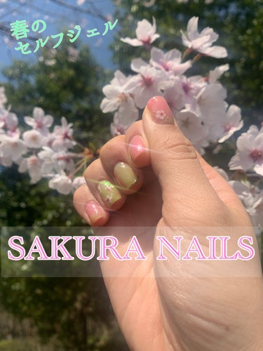 【お花見ネイル🌸】

今年の桜、早かったですね
もうすっかり葉桜だなあ

でも1ヶ月前から私のお爪には
桜が咲き続けてますよ！笑

今回はピンクとグリーンをベースに
桜のネイルシールを散らしてみました
