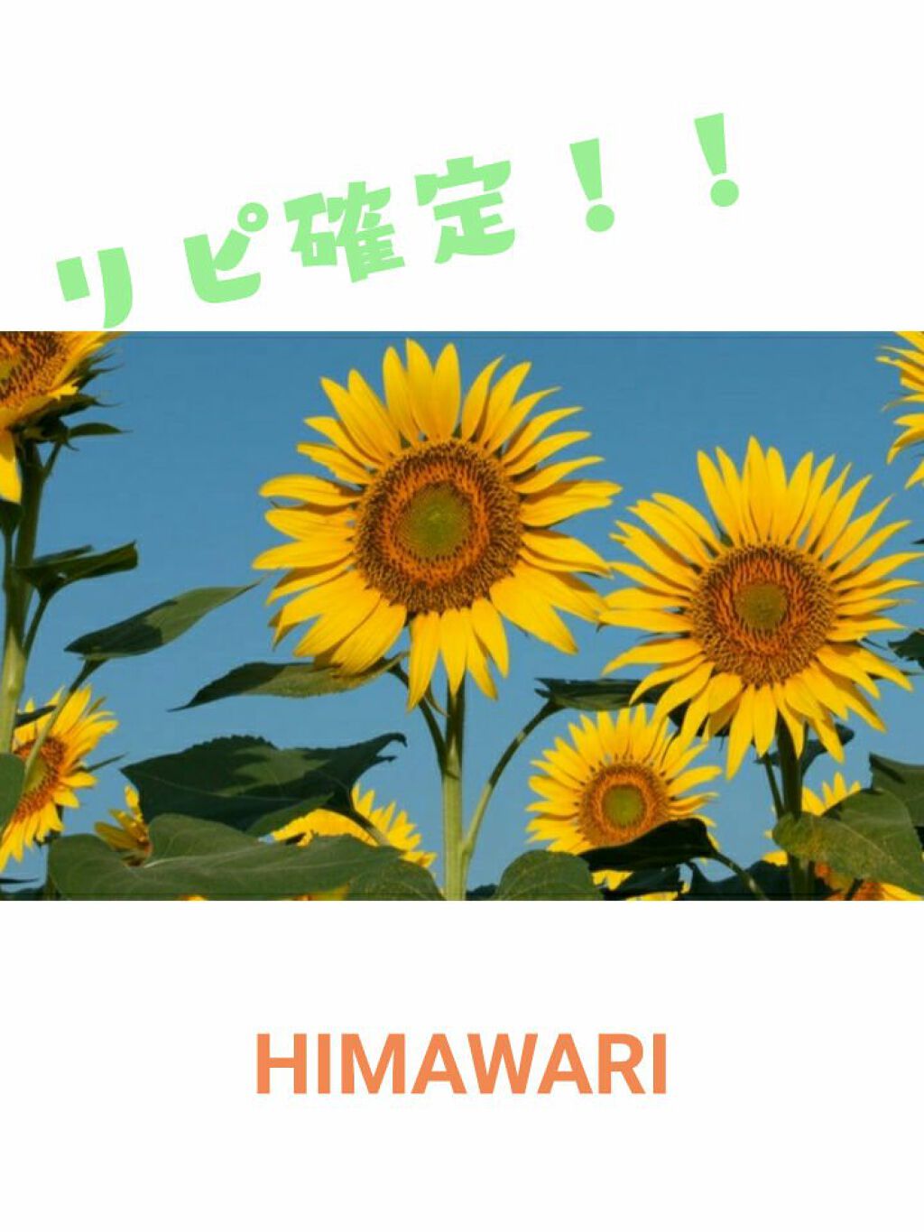 オイルインシャンプー／オイルインコンディショナー（リッチ＆リペア）/ディアボーテ/市販シャンプーを使ったクチコミ（1枚目）
