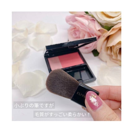 ピュアリーベール チーク/ESPRIQUE/パウダーチークを使ったクチコミ(4枚目)