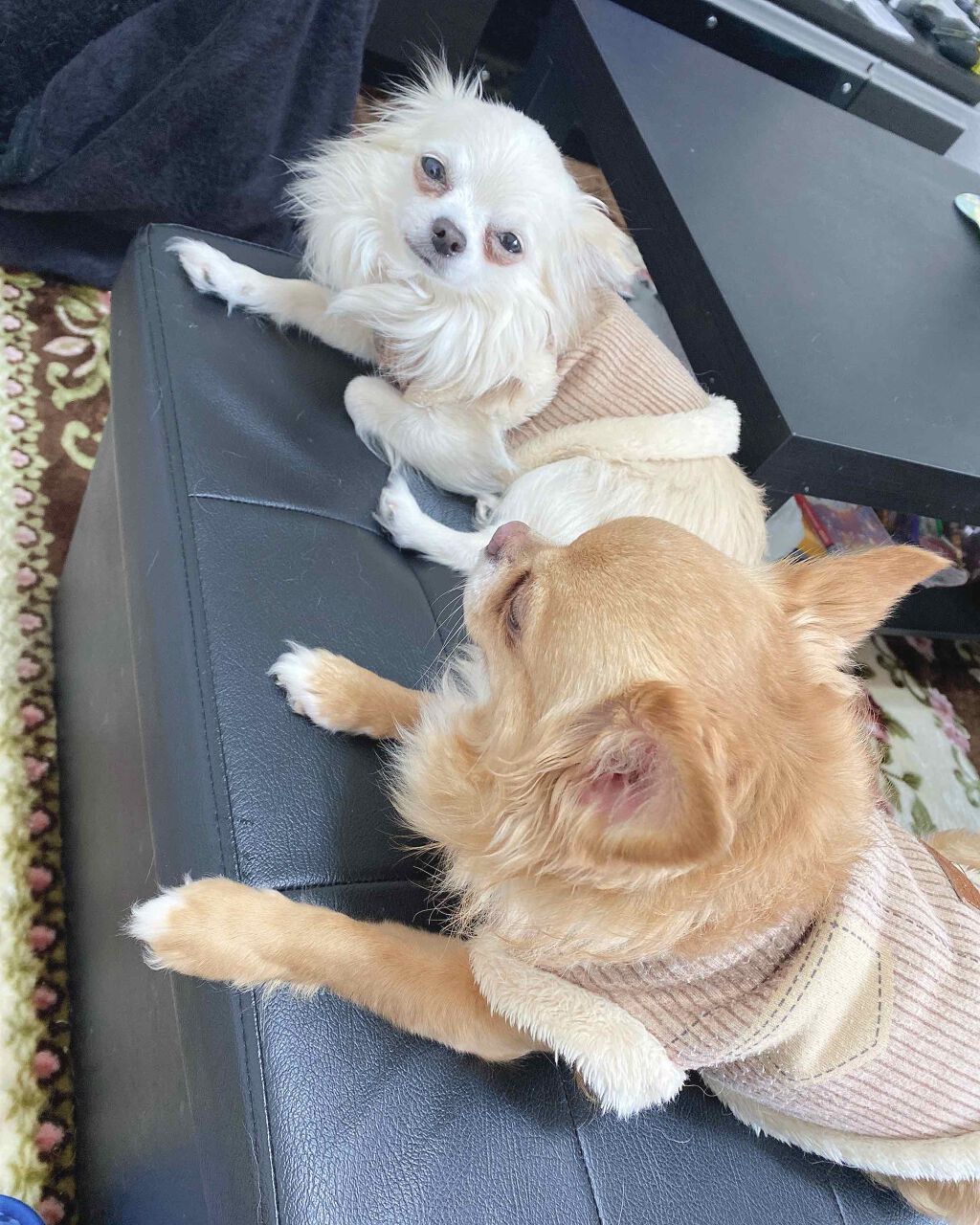 パーフェクトリムーバー(アイ&リップ)/SHISEIDO/ポイントメイクリムーバーを使ったクチコミ(3枚目)