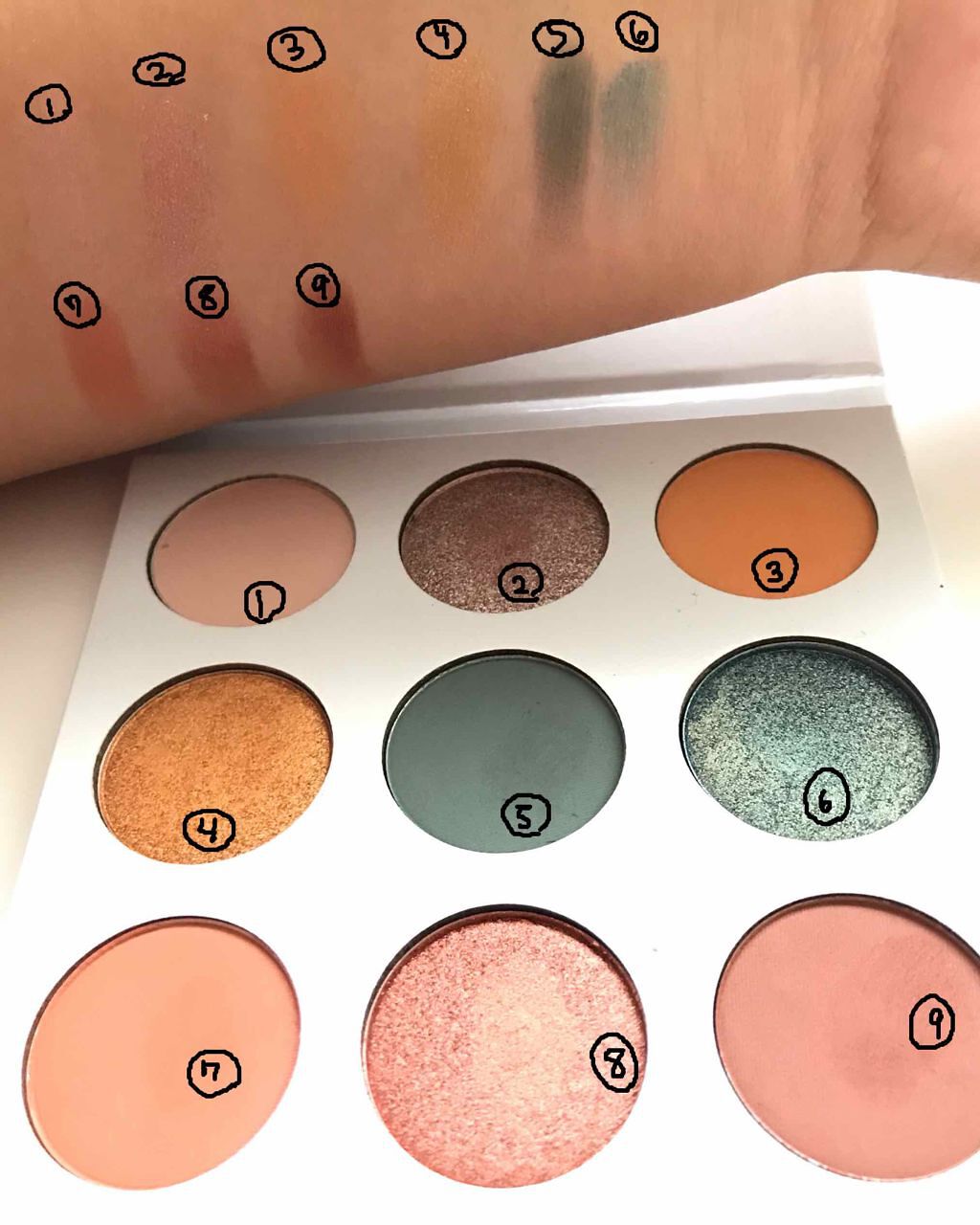 kylie cosmetics ブルー ハニー アイシャドウパレット/Kylie Cosmetics/アイシャドウパレットを使ったクチコミ(3枚目)