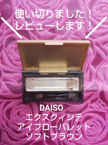 エクスクィシテ アイブローパレット/DAISO/パウダーアイブロウを使ったクチコミ（1枚目）