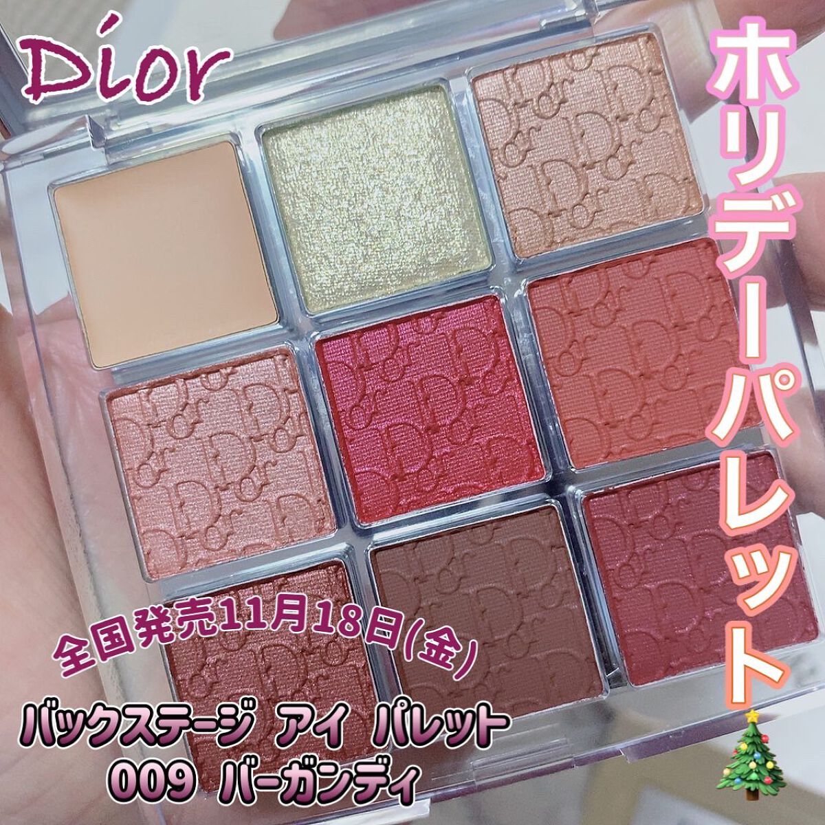 ディオール バックステージ アイ パレット/Dior/アイシャドウパレットを使ったクチコミ(1枚目)