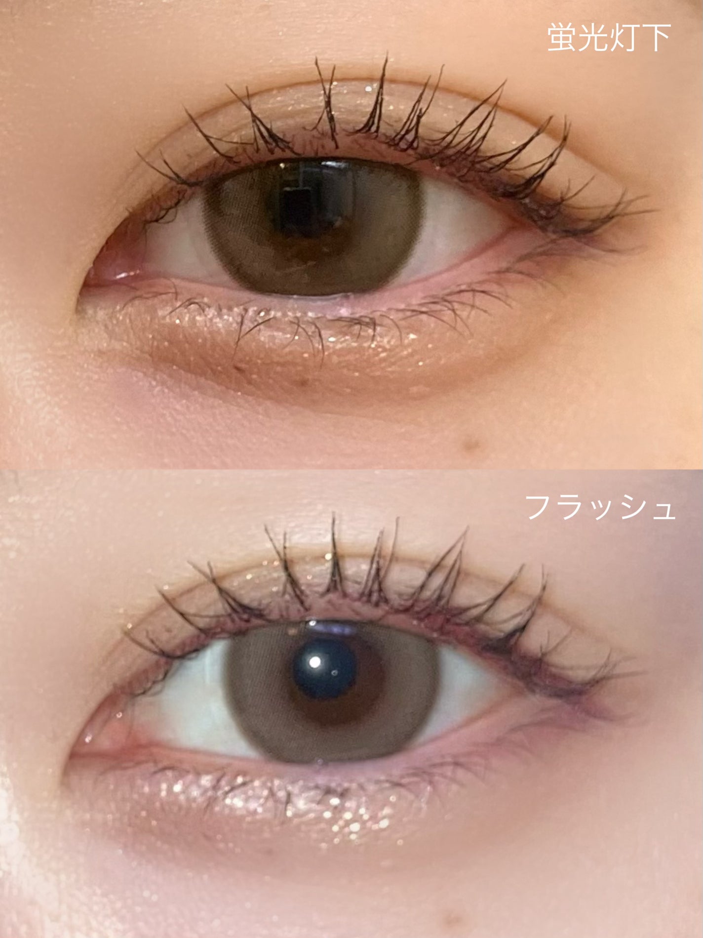 Moodnight 1day/OLENS/ワンデー(1DAY)カラコンを使ったクチコミ(6枚目)