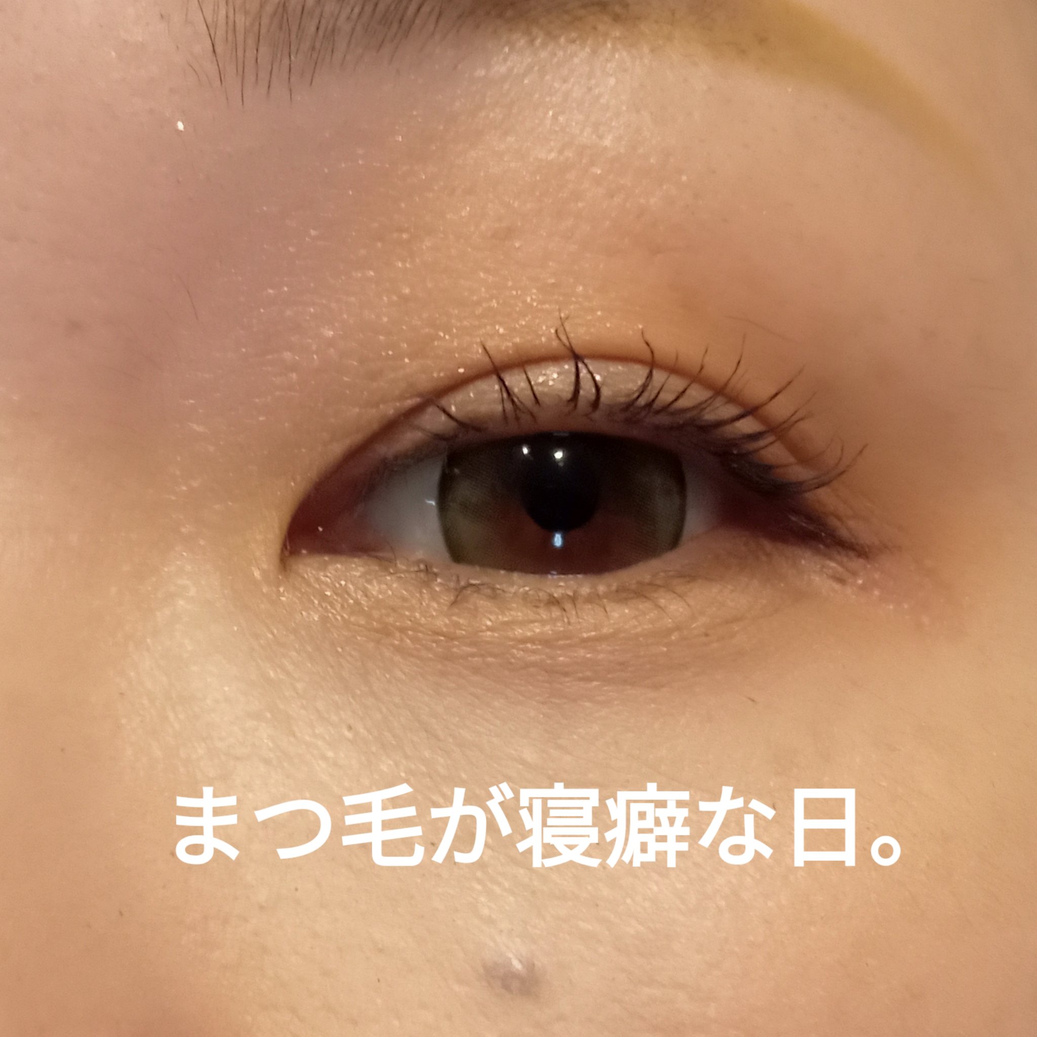 ケイト ポッピングシルエットシャドウ/KATE/アイシャドウパレットを使ったクチコミ（2枚目）