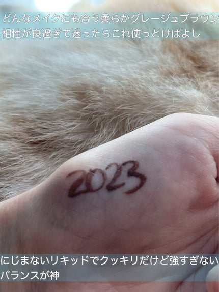 シルキーリキッドアイライナーWP/D-UP/リキッドアイライナーを使ったクチコミ(2枚目)