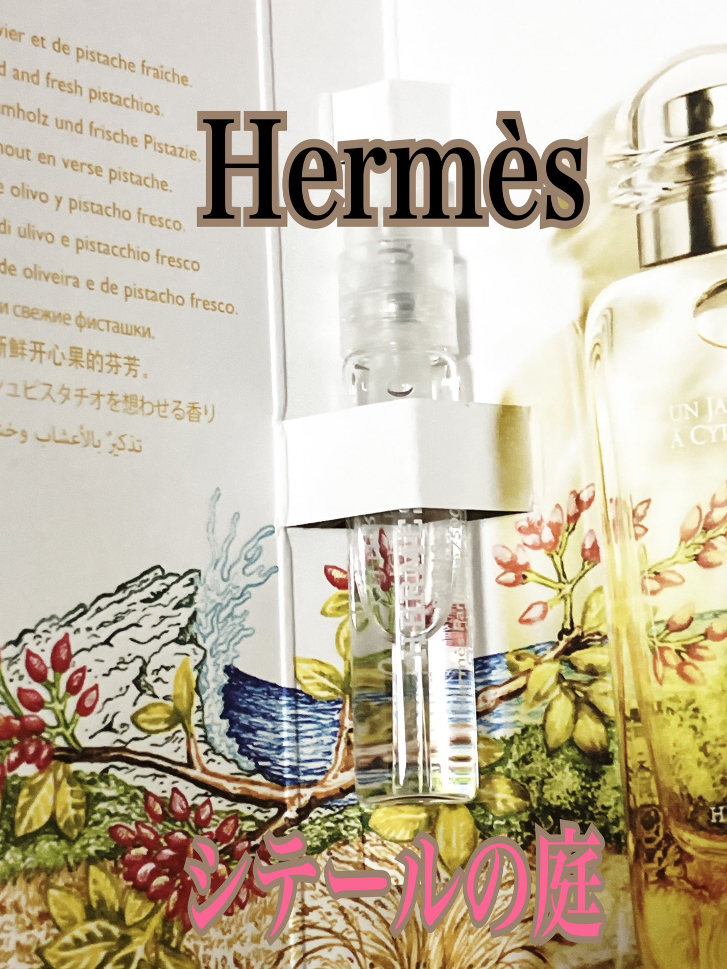 オードトワレ 《シテールの庭》/エルメス/香水(レディース)を使ったクチコミ(1枚目)