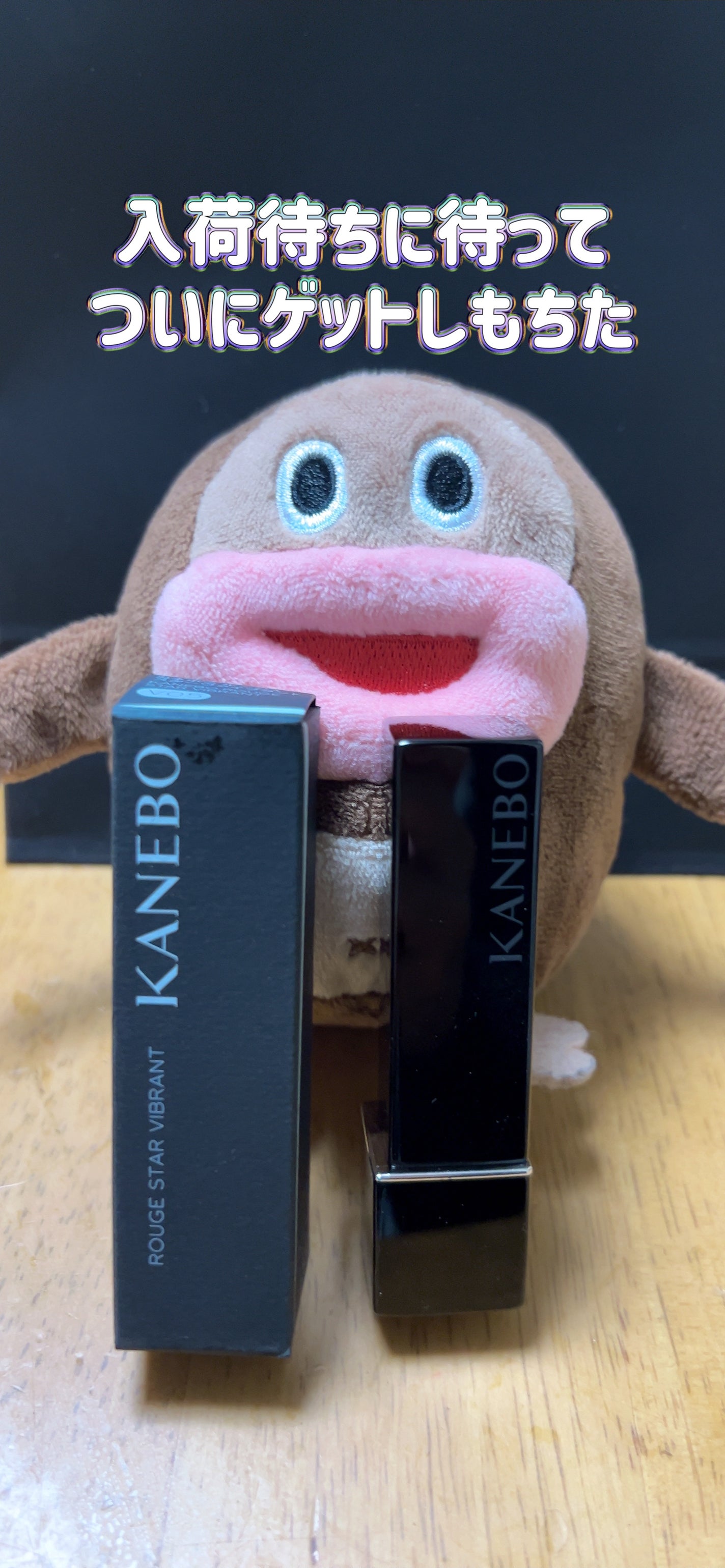 ルージュスターヴァイブラント/KANEBO/口紅を使ったクチコミ(1枚目)