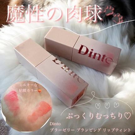 (ル・シャ ボテコレクション)ブラーゼリーボリュームリップティント/Dinto/リップティントを使ったクチコミ(1枚目)