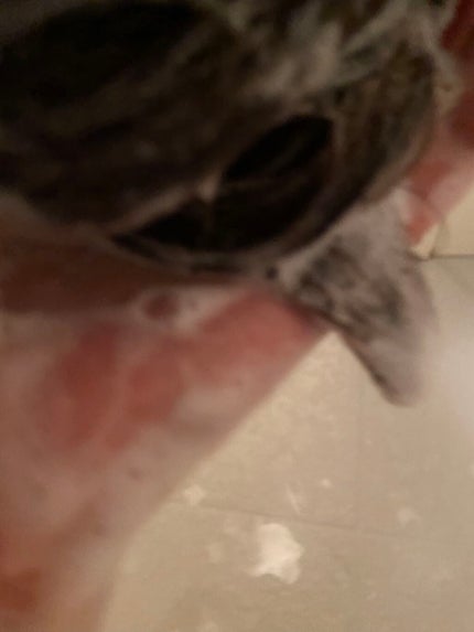 カームナイトリペアシャンプー/トリートメント/YOLU/市販シャンプーを使ったクチコミ(5枚目)