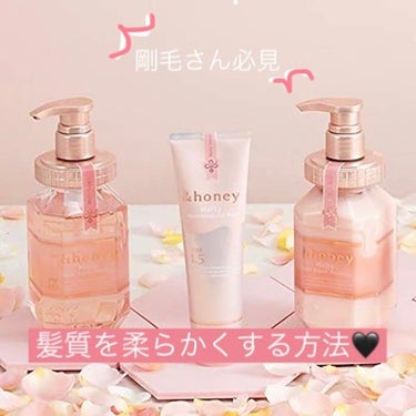 &honey Melty モイストリペア シャンプー1.0／モイストリペア ヘアトリートメント2.0/&honey/シャンプー・コンディショナーを使ったクチコミ（1枚目）