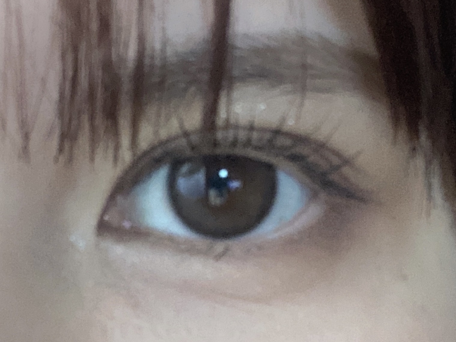 エバーカラーワンデー ナチュラル/エバーカラー/ワンデー（１DAY）カラコンを使ったクチコミ（1枚目）