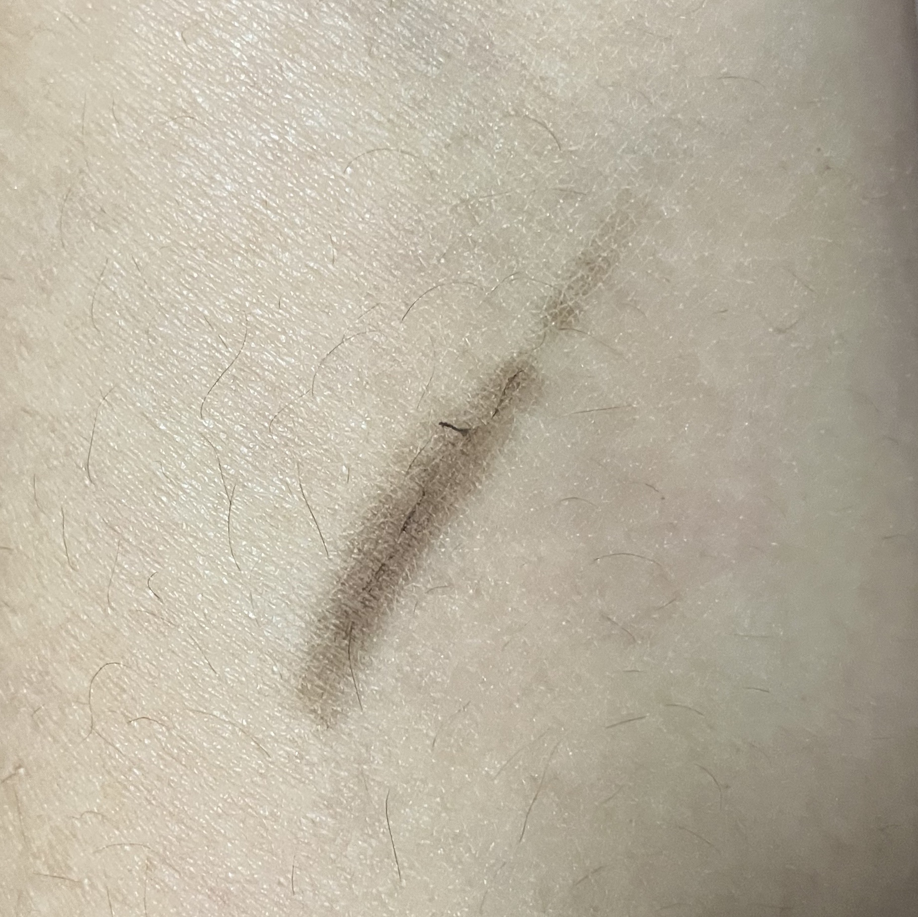 パーフェクトリー ディファインド ロングウェア ブロー ペンシル/BOBBI BROWN/アイブロウペンシルを使ったクチコミ（2枚目）