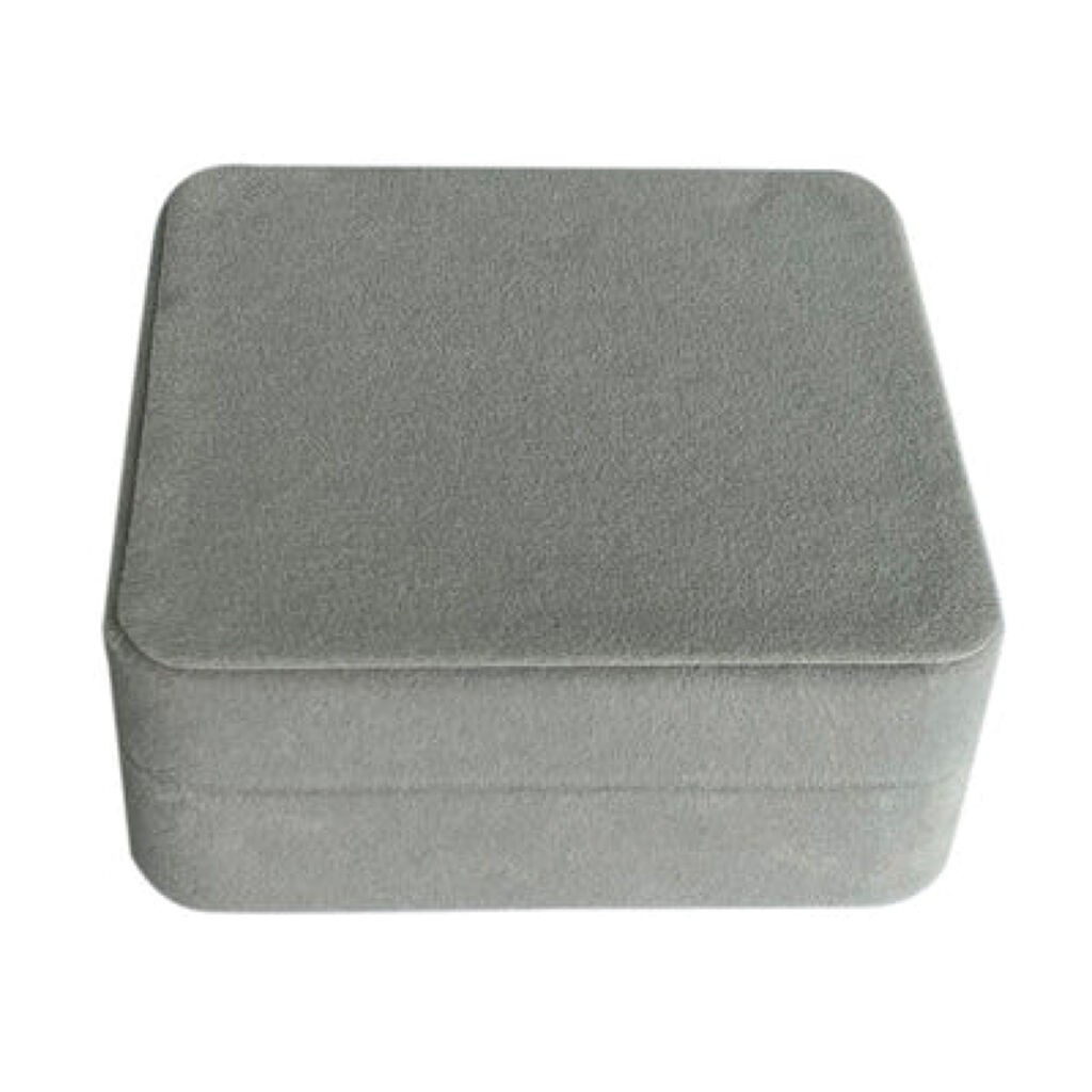 アクセサリーケース / DAISO