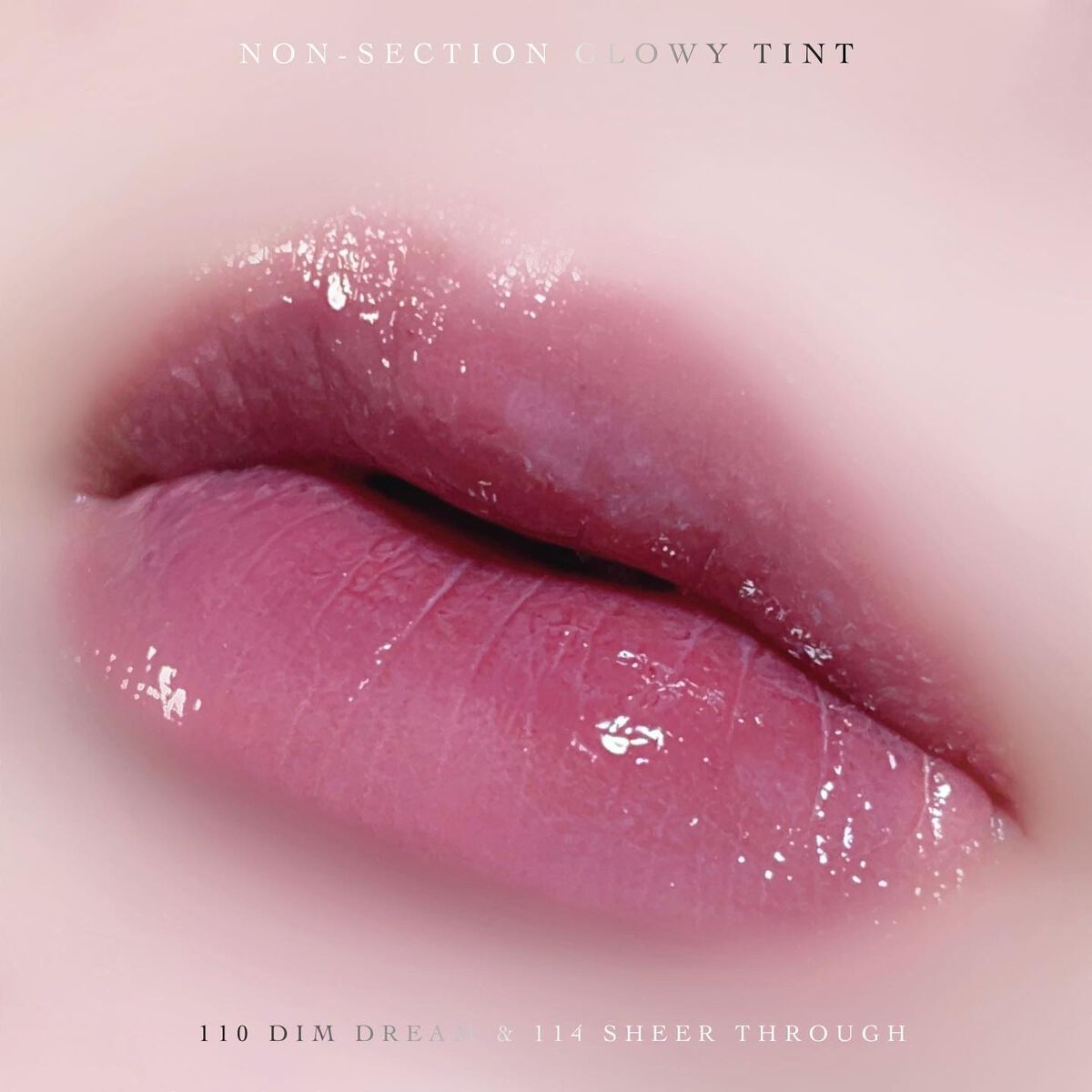 ノンセクショングローリーティント/EQUMAL/リップティントを使ったクチコミ（1枚目）