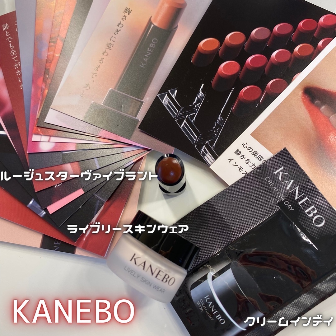 ルージュスターヴァイブラント/KANEBO/口紅を使ったクチコミ（1枚目）
