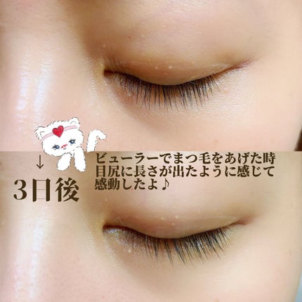 マジックティント/MAJOLICA MAJORCA/マスカラを使ったクチコミ(3枚目)