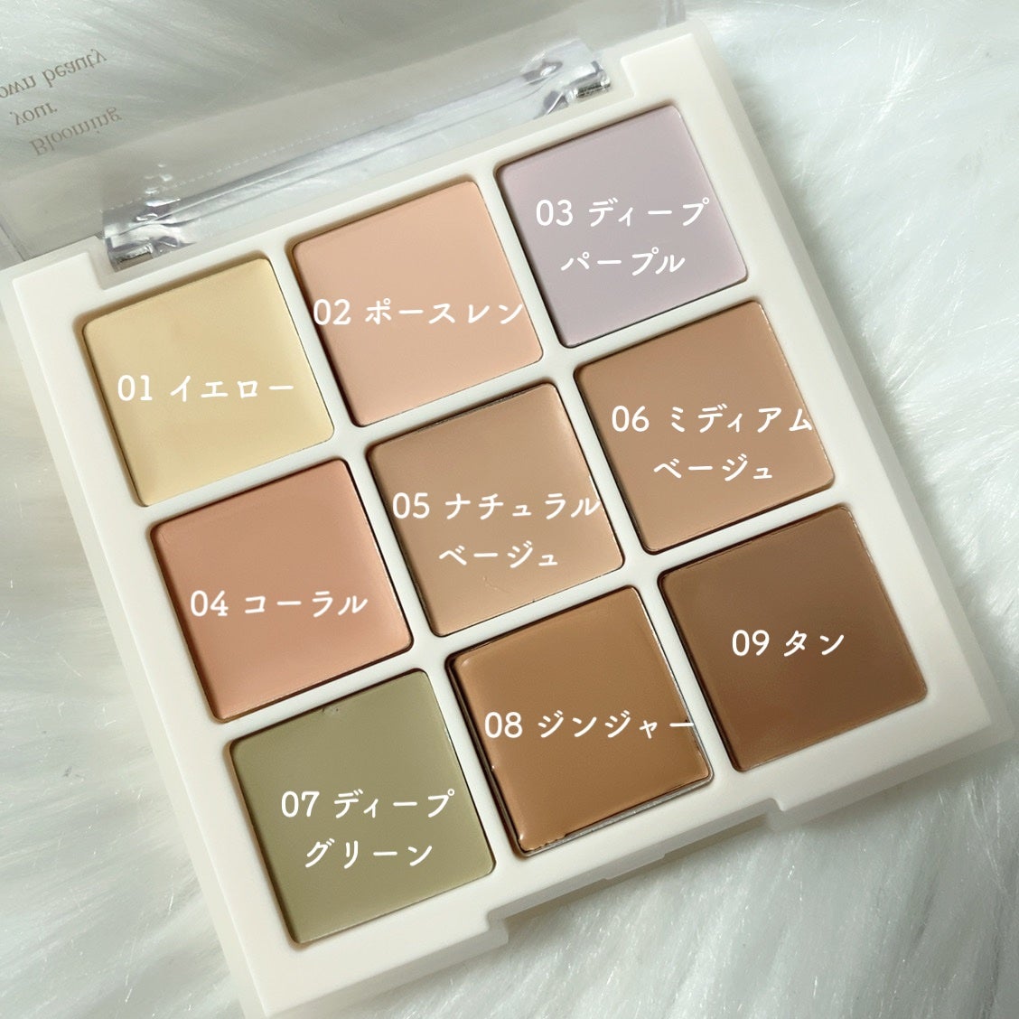 プロコンシーラーパレット/dasique/パレットコンシーラーを使ったクチコミ(3枚目)