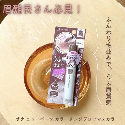 サナ ニューボーン カラーリングブロウマスカラ/サナ ニューボーン/マスカラを使ったクチコミ(1枚目)