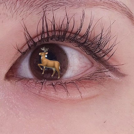 カービングアイラッシュカーラー/コージー/ビューラーを使ったクチコミ(5枚目)